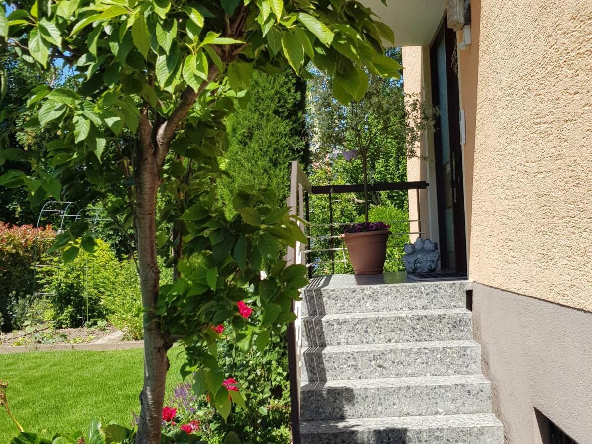 Apartament Feriendomizil Bergamini Bischoffingen Zewnętrze zdjęcie